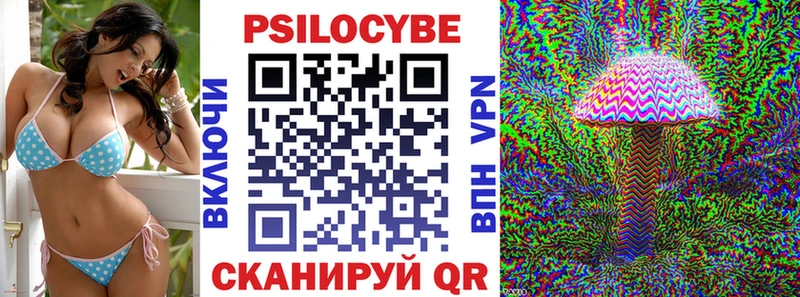 где купить наркоту  Михайловск  Псилоцибиновые грибы GOLDEN TEACHER 
